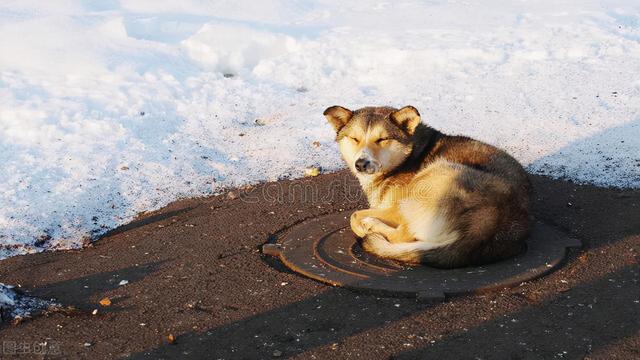 什么是寒性体质，什么是寒性体质和热性体质（女性手脚冰凉、经痛是因为体寒）