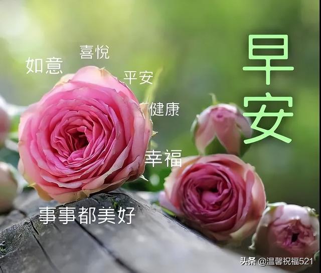 文字图片我的好朋友，我们是朋友图片带文字（有创意的亲人朋友早上好图片带祝福语）