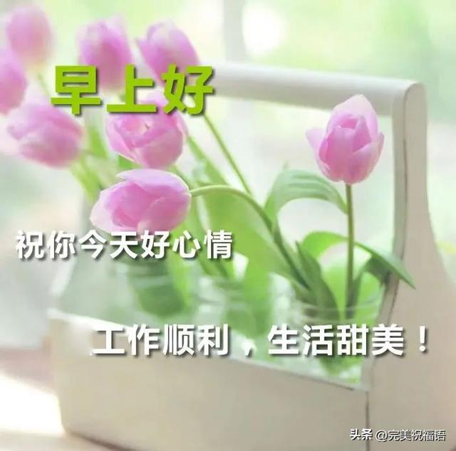 祝福话，祝福话语,句句暖人心（今日最新早上好表情精选）