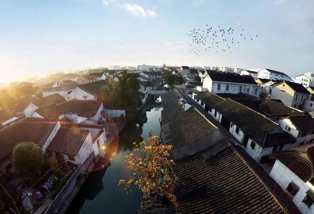 太仓是哪个省的城市，太仓在哪里属于哪个省（低调内敛的小城——江南的另一张面孔）