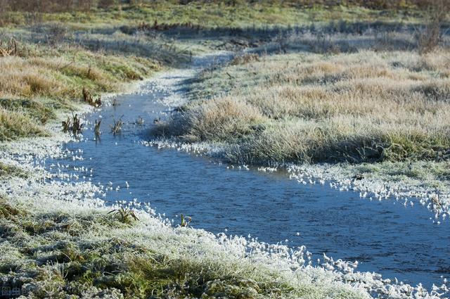 含束的成语，束成语有哪些成语大全（10个冷门却惊艳的小众成语）