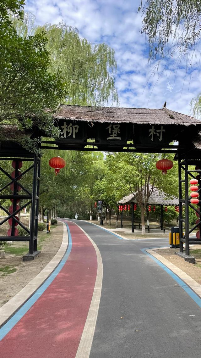 上海到青岛多远，上海到青岛的路程（上海青岛往返1400公里全程无高速沿途城市蜻蜓点水游）