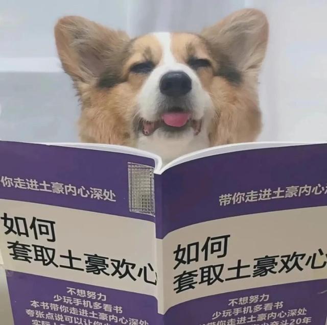 笑到窒息的沙雕头像，哈哈哈哈哈这些沙雕头像让我笑到下巴脱臼（微信沙雕搞怪头像）