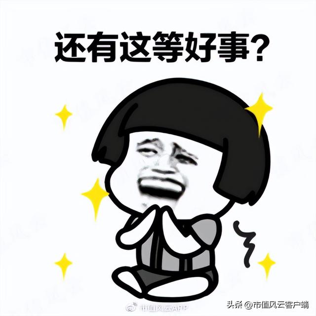 斯凯奇是哪个国家的品牌，彪马是哪个国家的品牌（30年屹立不倒,本土地位比肩耐克,但就不分红）