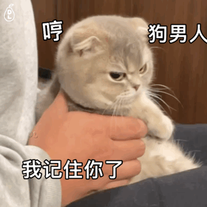 猫猫表情包，猫猫虫表情包（你家里是开幼儿园的吗图片）
