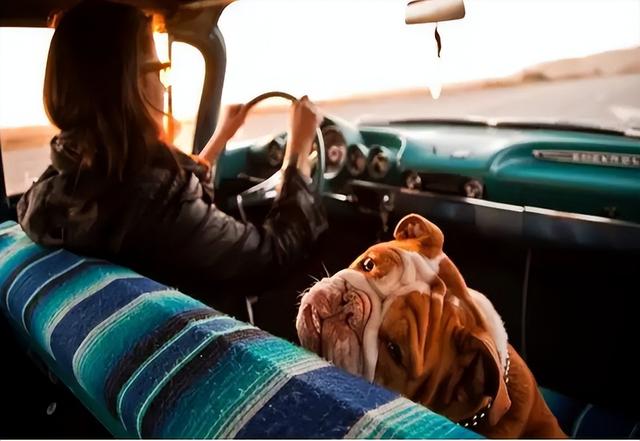 头晕想吐是什么原因，迷糊恶心想吐是怎么回事（为什么有的人一坐车就头晕想吐）