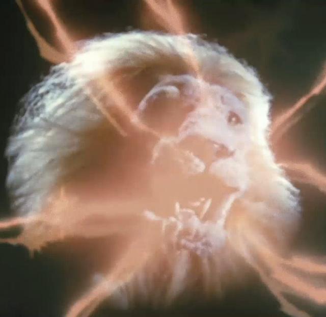 最好看的奥特曼，哪部奥特曼比较好看（谁才是你心中的奥特曼第一靓仔）