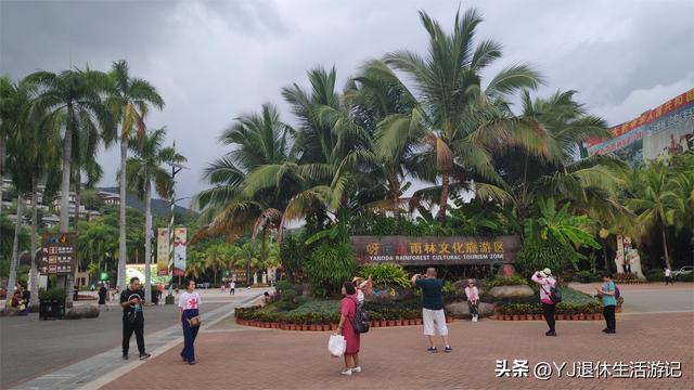 呀诺达热带雨林，呀诺达雨林文化旅游区官网（呀诺达景区探寻热带雨林奇观）