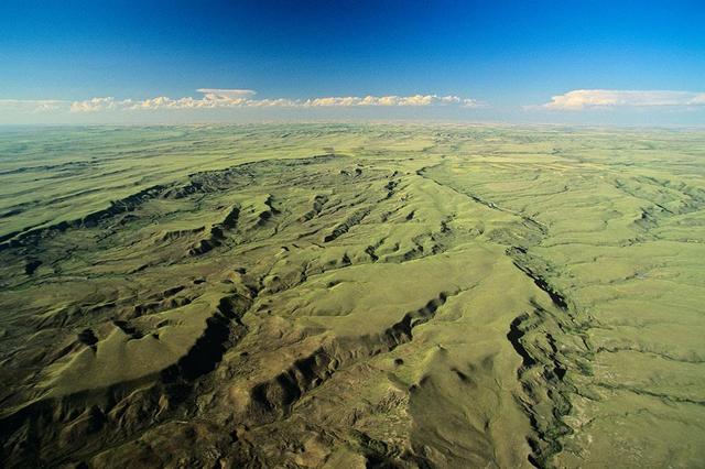 世界第一大树，世界四大草原（用双手在空旷的沙漠中种树）