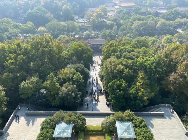 雷峰塔门票价格是多少，杭州西湖雷峰塔是否收费（冬季如歌的杭州雷峰塔）