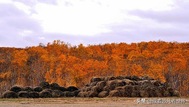 阿尔山的风景，《走进内蒙》景色迷人