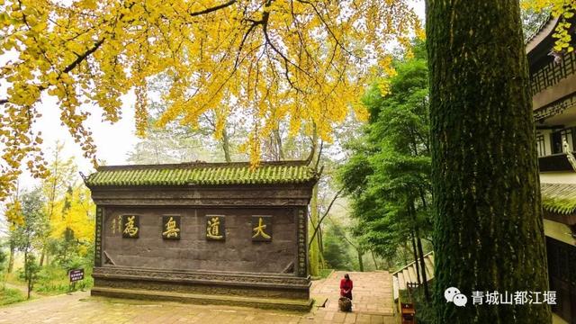 青城山旅游，青城山旅游图（赏千年银杏、观层林尽染、泡山间温泉......顶奢配置慢生活尽在青城山～）