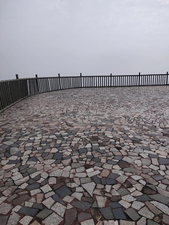 歌乐山森林公园，重庆旅游必去景点（歌乐山国家森林公园）