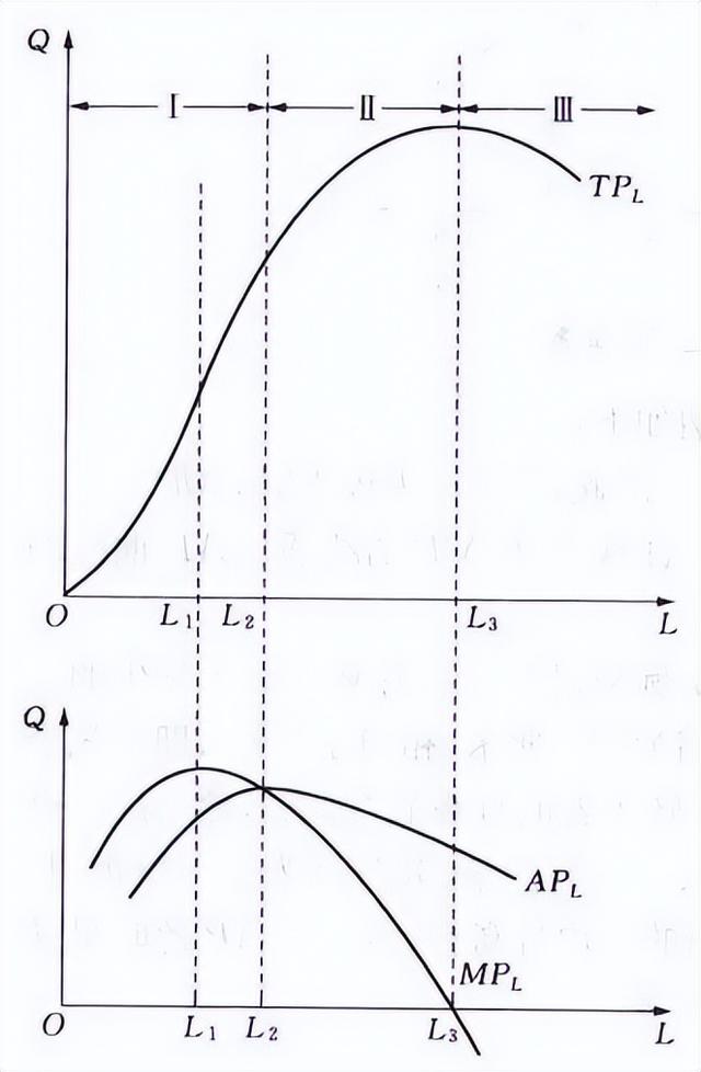 中级经济师生产函数和生产曲线，中级经济师《经济基础》-3.2生产函数和生产曲线