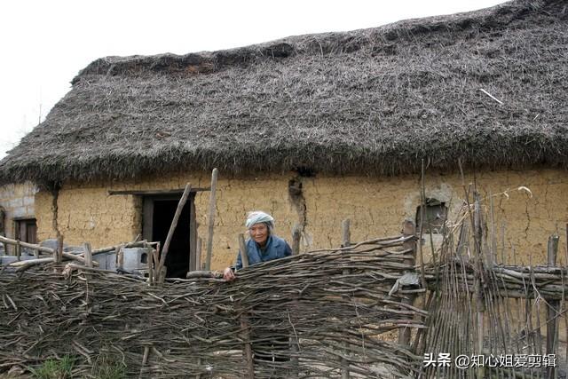 给老人买什么礼物好，给老年人买什么礼物好（80岁老人过寿最好送下面这10种礼物）