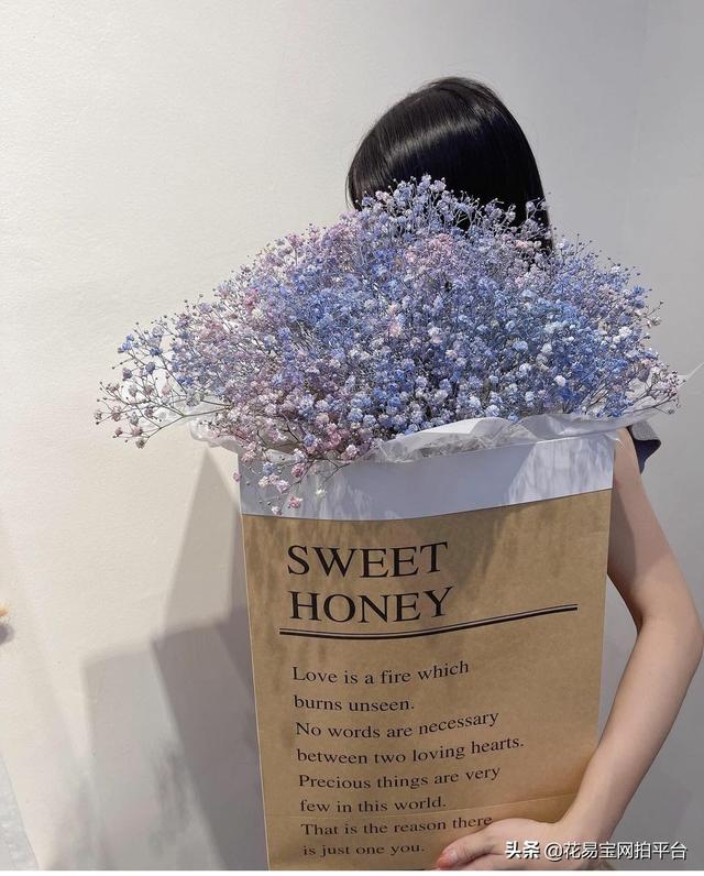 Gypsophila 满天星网名，Gypsophila 满天星（千万星、百万星、伊洛斯有何区别）