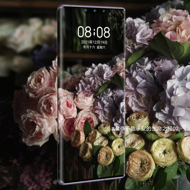 风景静物背景图|谢谢光临.，静物背景图片（花卉摄影壁纸图文解说）