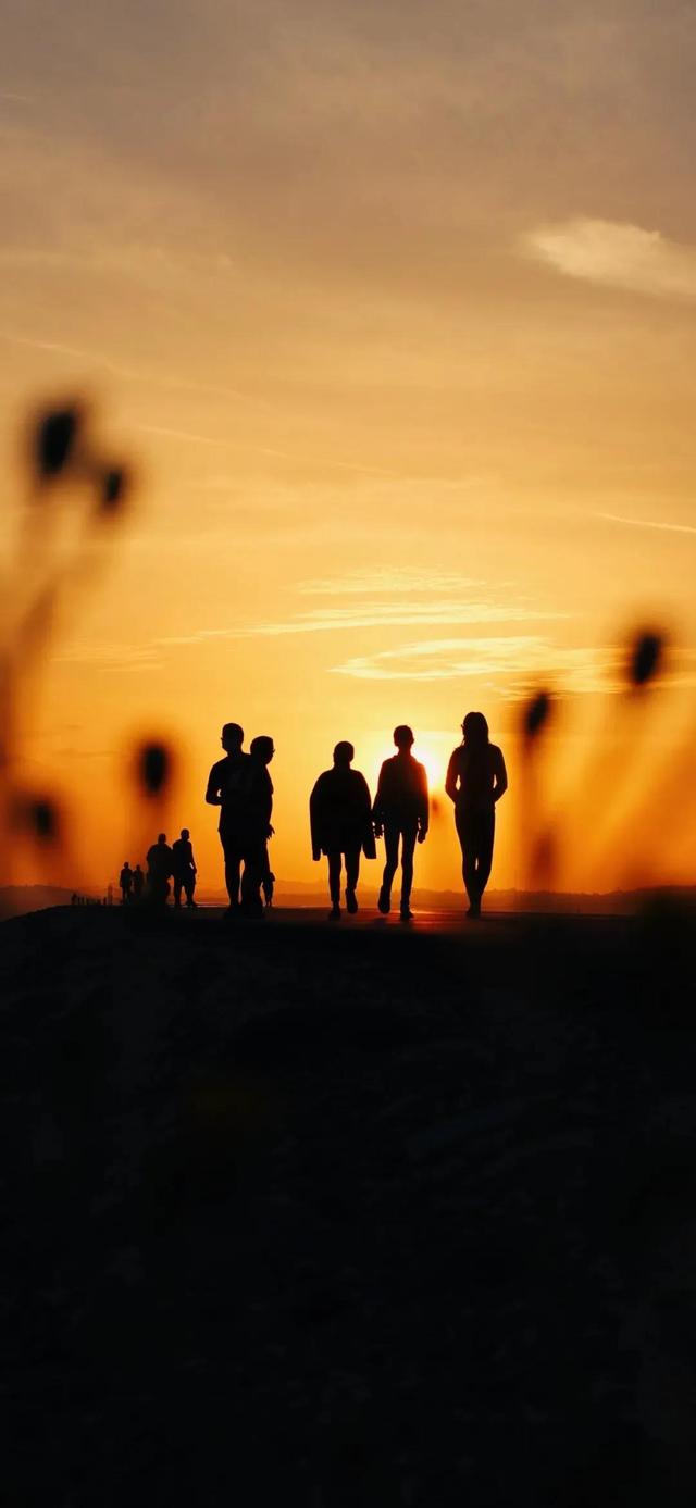 另一种灿烂人生，失恋后活出了另一种灿烂人生的星座（壁纸，灿烂人生）