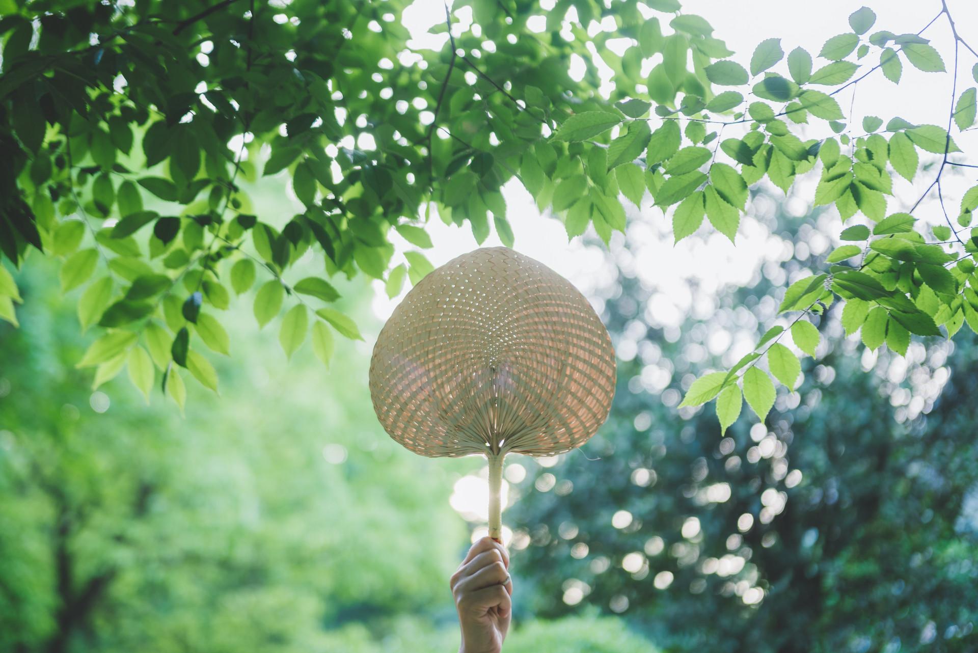 一个人要走好运身边会出现什么样的人？
