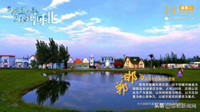 这么近 那么美 周末到河北｜邯郸·紫海芳庭薰衣草庄园