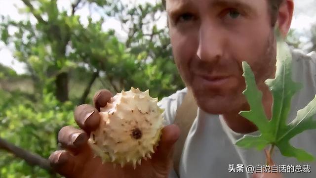 梦见家里好多蜘蛛网是什么意思，梦见家中有很多蜘蛛网（竟是存活至今的地球第一批人类所为）