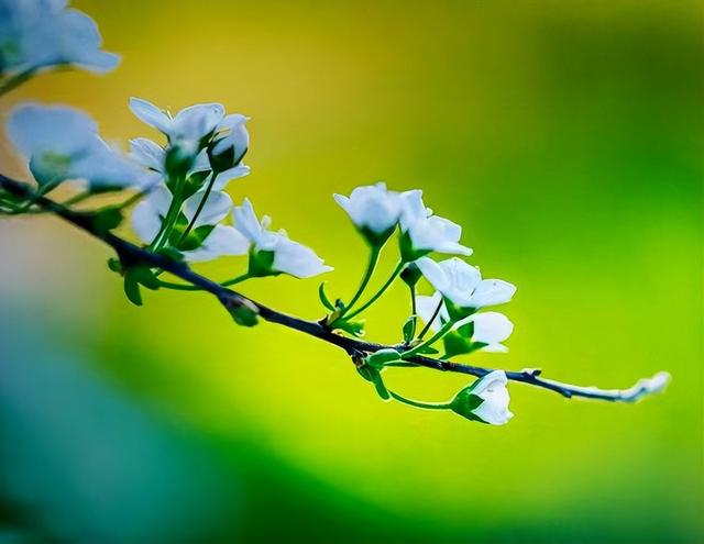 亲情指的是什么呢，亲情指的是什么呢英文（人到晚年才懂：什么是亲情）