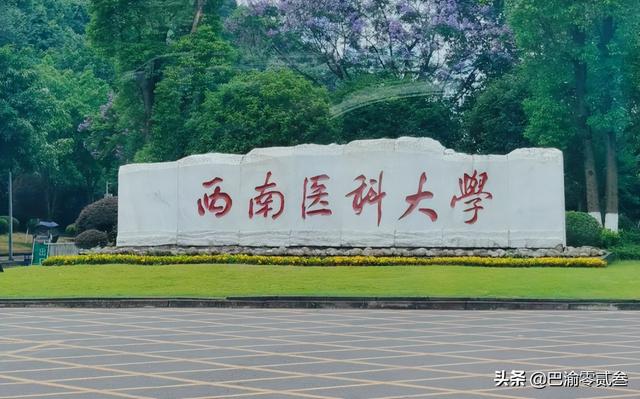 四川美术学院，四川美术学院2022年录取分数线（有人提议成都收回）