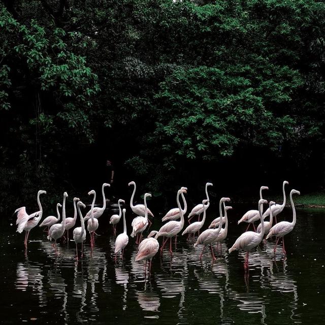 名片背景图.，qq名片背景图（ins风朋友圈名片背景图）