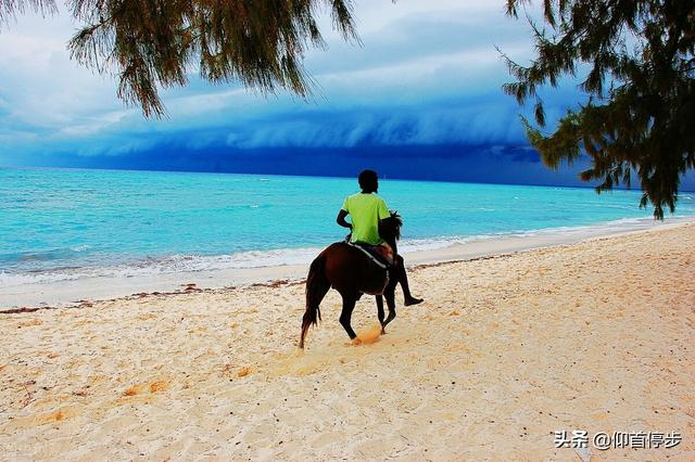 短现代诗摘抄，10首很短的现代诗是什么（精选现代诗名句摘抄<十三>）
