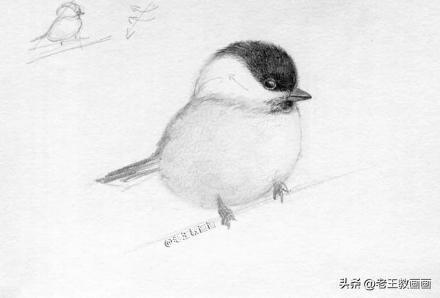 铅笔画入门教程，铅笔画萌少女入门教程（教你用铅笔画羽毛的质感）