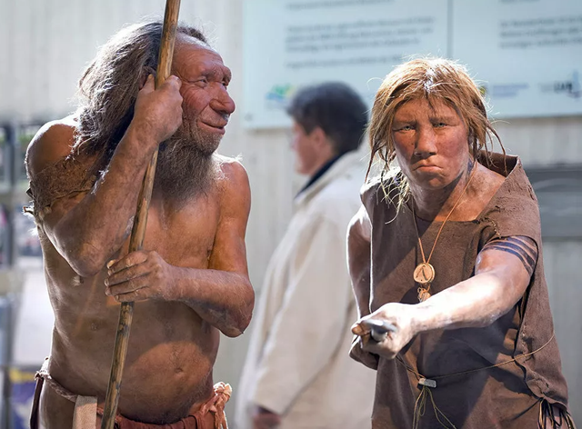 关于尼安德特人介绍，尼安德特人是怎么来的（两个智人都打不过一个尼人）