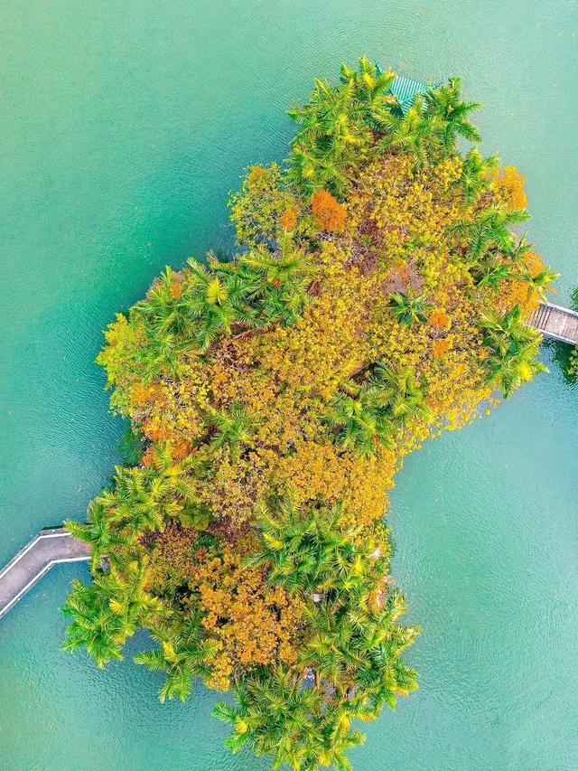 广西有哪些景点值得去，广西有哪些景点值得去看（快把广西这些游玩不累、老少皆宜的山湖美景安排上~）