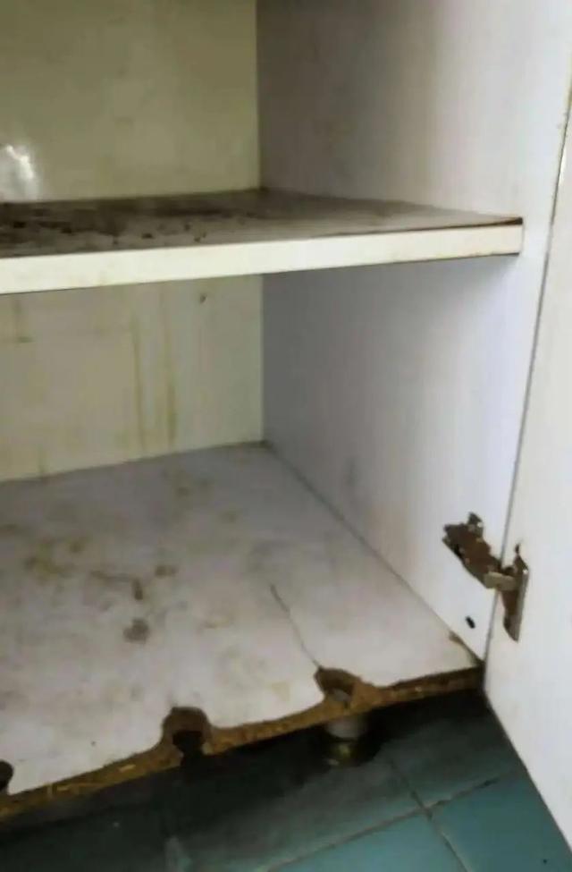 如何去除家中潮气，怎么去除屋里的潮气（史上最全防潮、除霉大法）