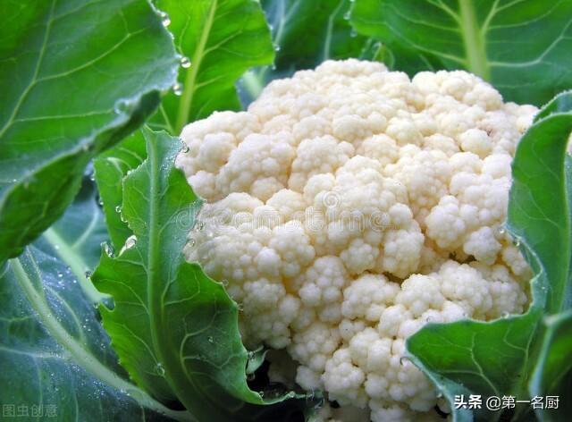 玉米不能和什么一起吃，哪些食物不能和玉米一起吃（建议多吃“4种补水菜”）