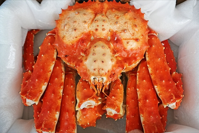 螃蟹的品种有哪些，什么品种的螃蟹（带你认识不同的螃蟹和吃法）