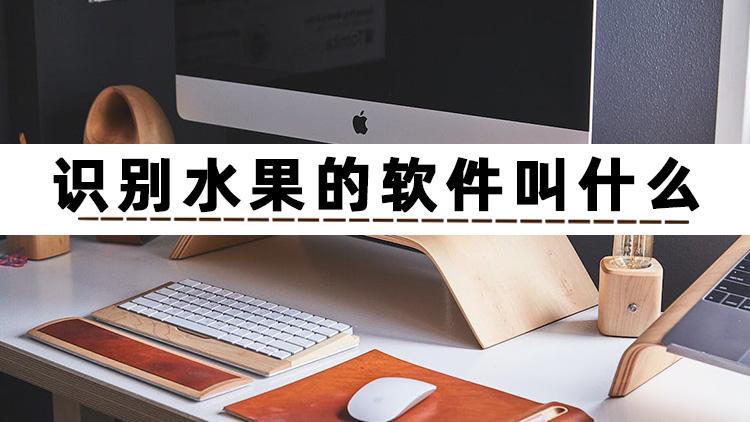 查看图片的软件(能修改文字的p图软件)