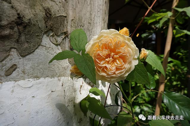 南京都有哪几个区，南京财经大学都有哪几个校区呀（南京人看南京——街区篇-T80园区）