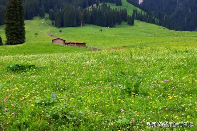 新疆旅游，遇到一位妈妈带着女儿旅行，她说有点后悔带女儿出来了