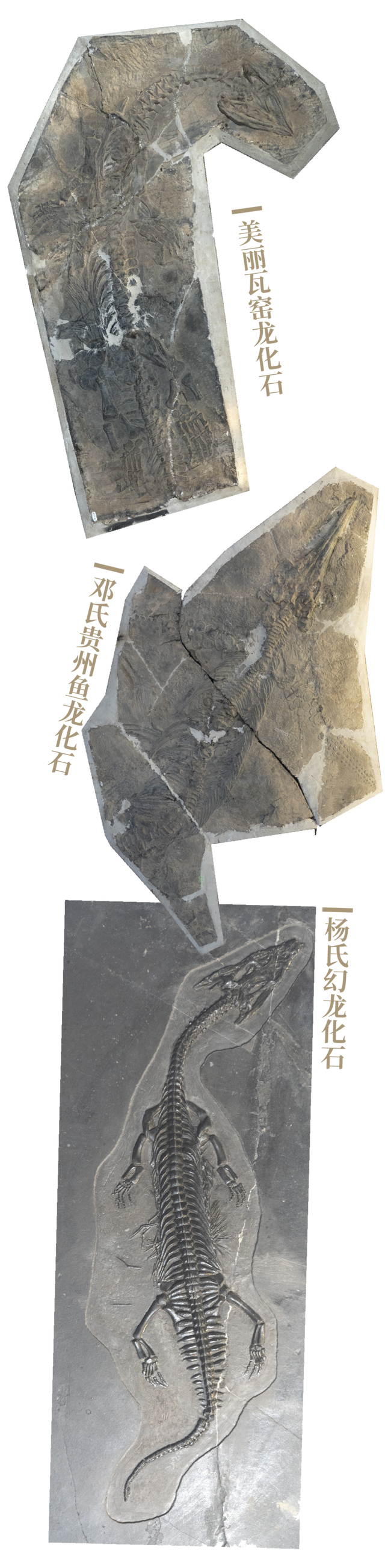 贵州属于云南省吗，云南属于哪个省（中国避暑第一大省）