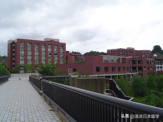 日本金泽大学怎么样，日本金泽大学怎么样啊（金泽大学）