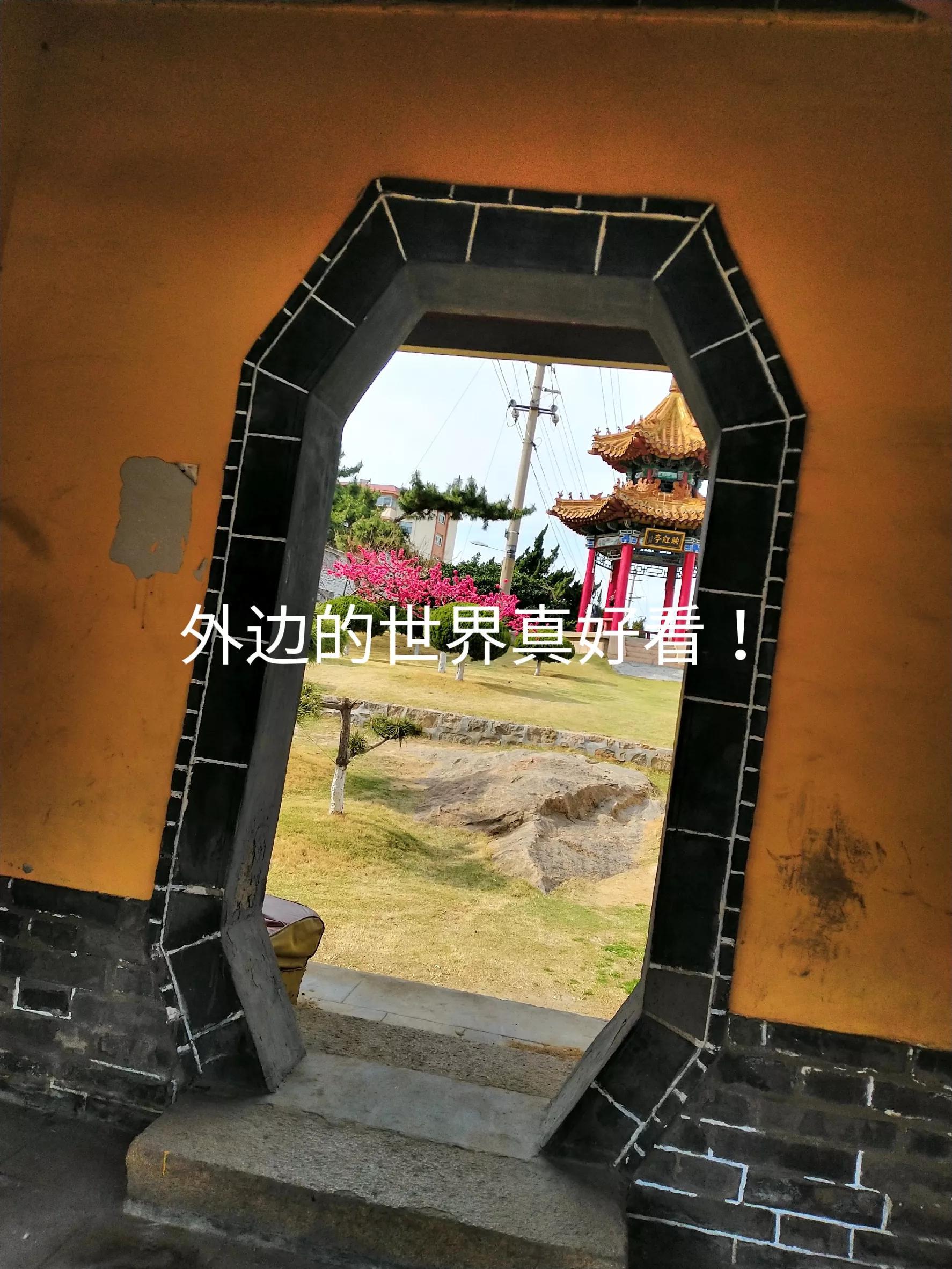 律师的行业分析（谈年轻律师的生存状况）