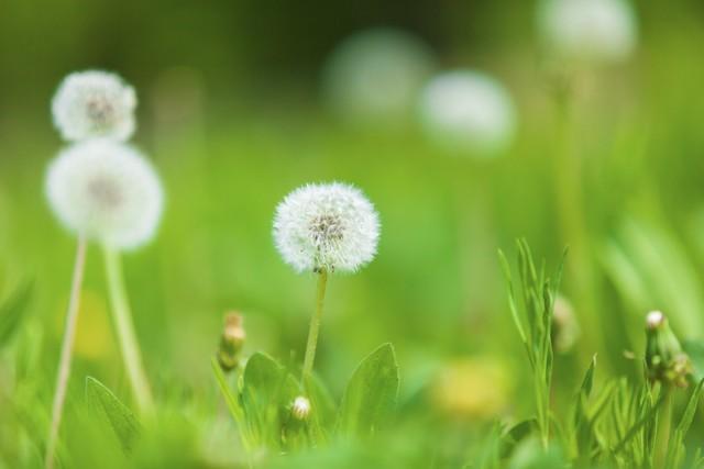 爱一个人的几大表现，爱一个人的十大表现（爱自己的10个表现）