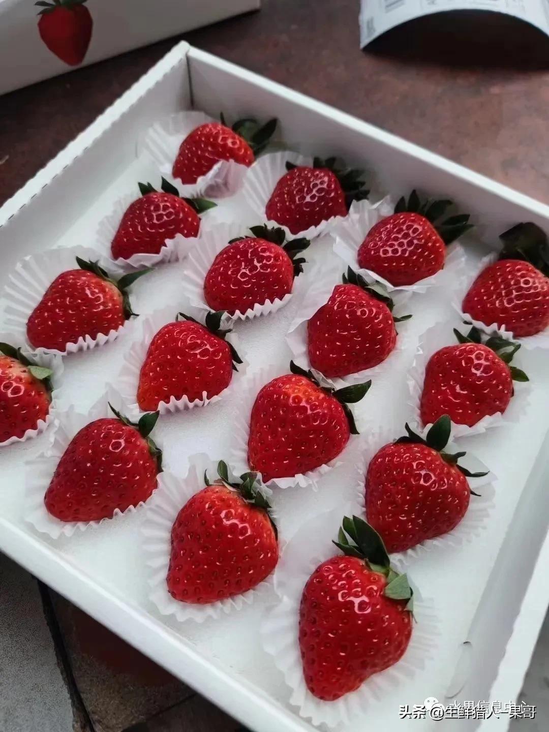 浆果是什么，浆果是什么软件（不同水果的不同包装<浆果篇>）