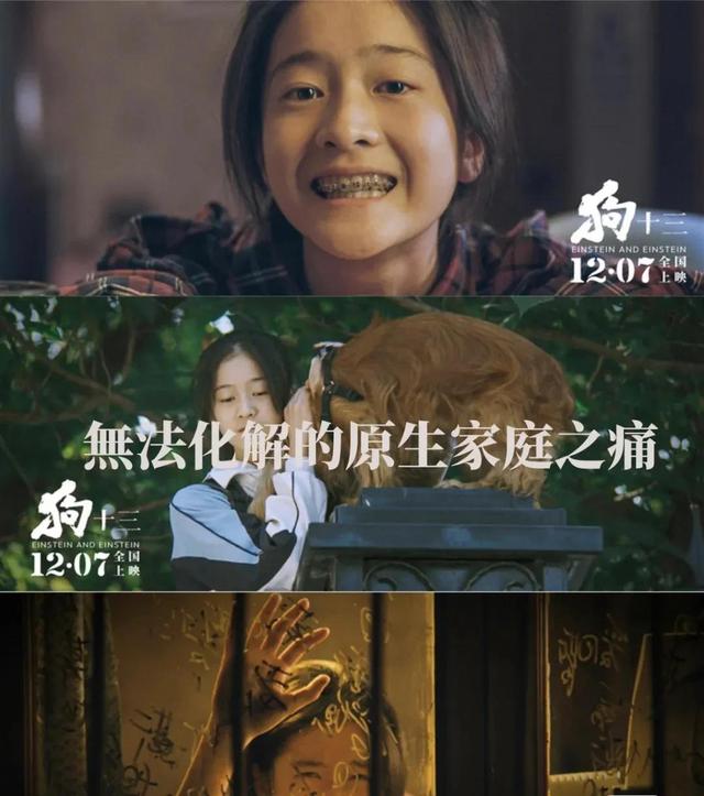 电影狗十三什么意思，电影狗十三名字的含义（《狗十三》一部极具教育意义的电影）