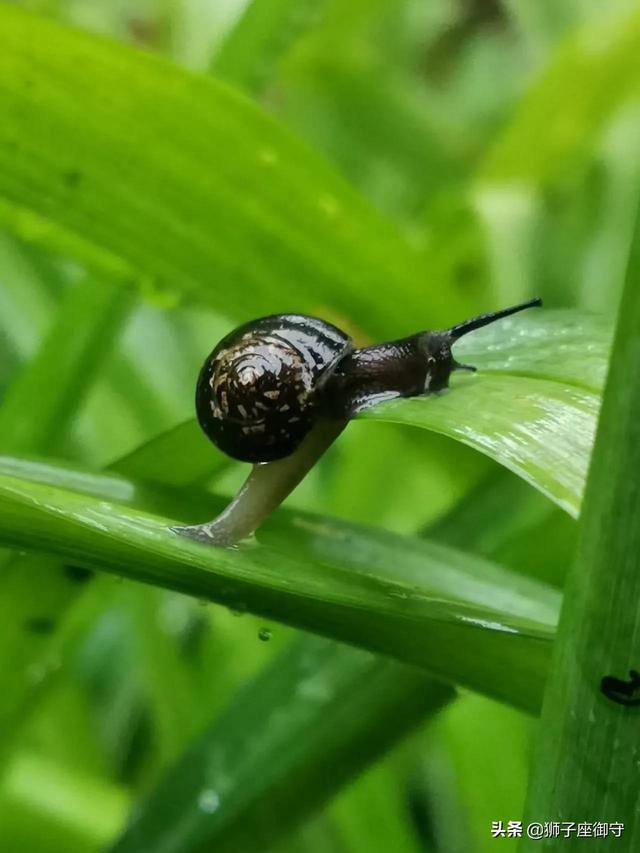 初一家长寄语大全精华，初一家长寄语鼓励（给初一娃的结业寄语）