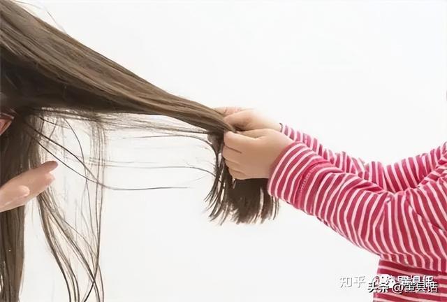 爬是什么意思网络用语，爬是什么意思（黄县话里的古动词，你听说过吗）