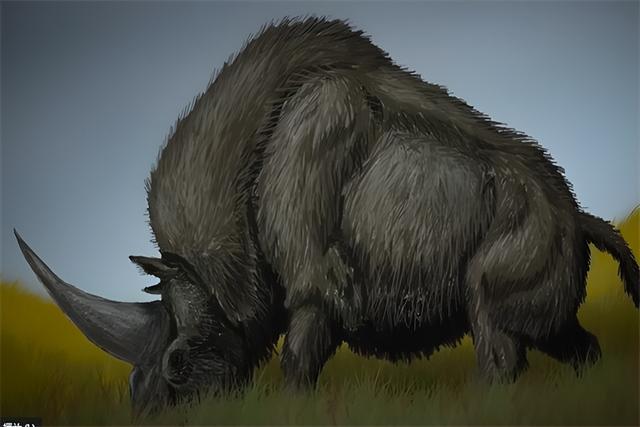 神生真世的介绍，神生真世百科（10个真实存在的神奇神话生物）