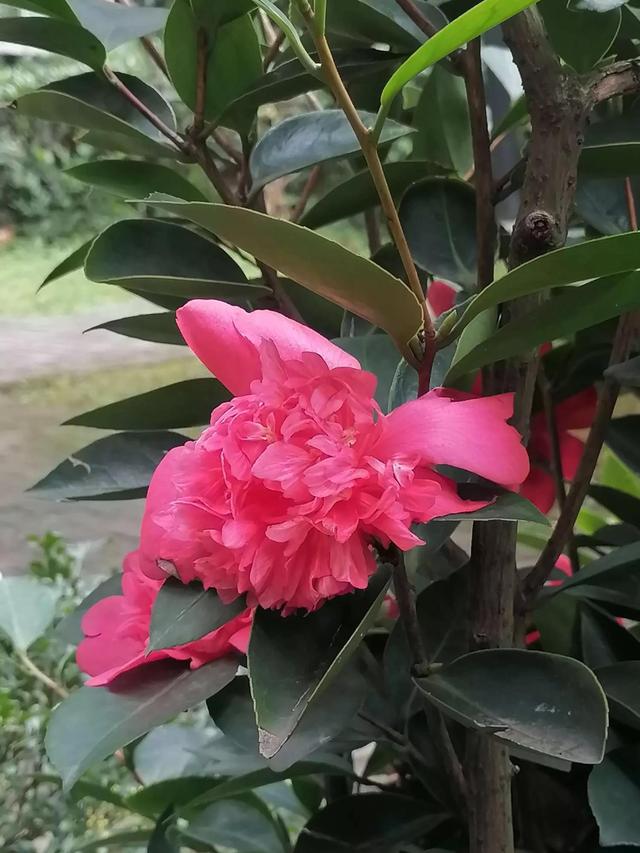 灵魂相似的人一旦相逢，灵魂相似的人一旦相逢是知心朋友（总有一天会在路上相逢）