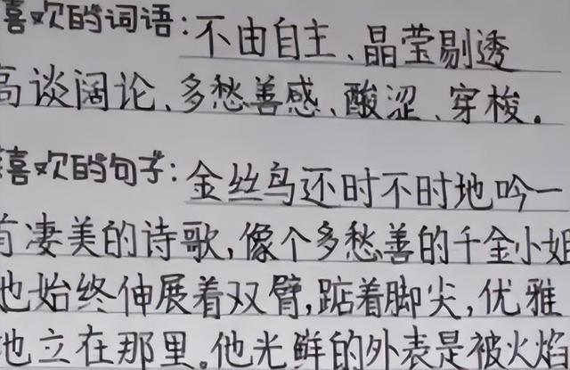 栅栏的英文简单介绍，栅栏的英文简单介绍怎么读（高中生“栅栏”字体走红）
