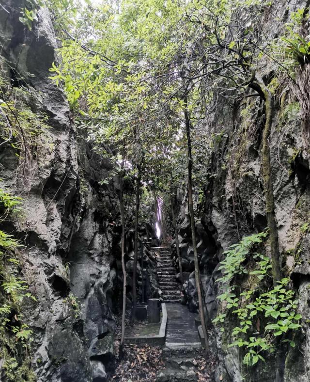 含羞的成语有哪些，含羞的诗句和成语（青梅含羞待佳人）